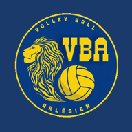 Logo VBA